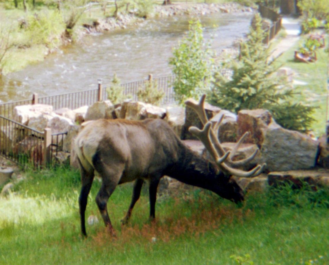 Skyline Cottages Estes Park Exterior foto